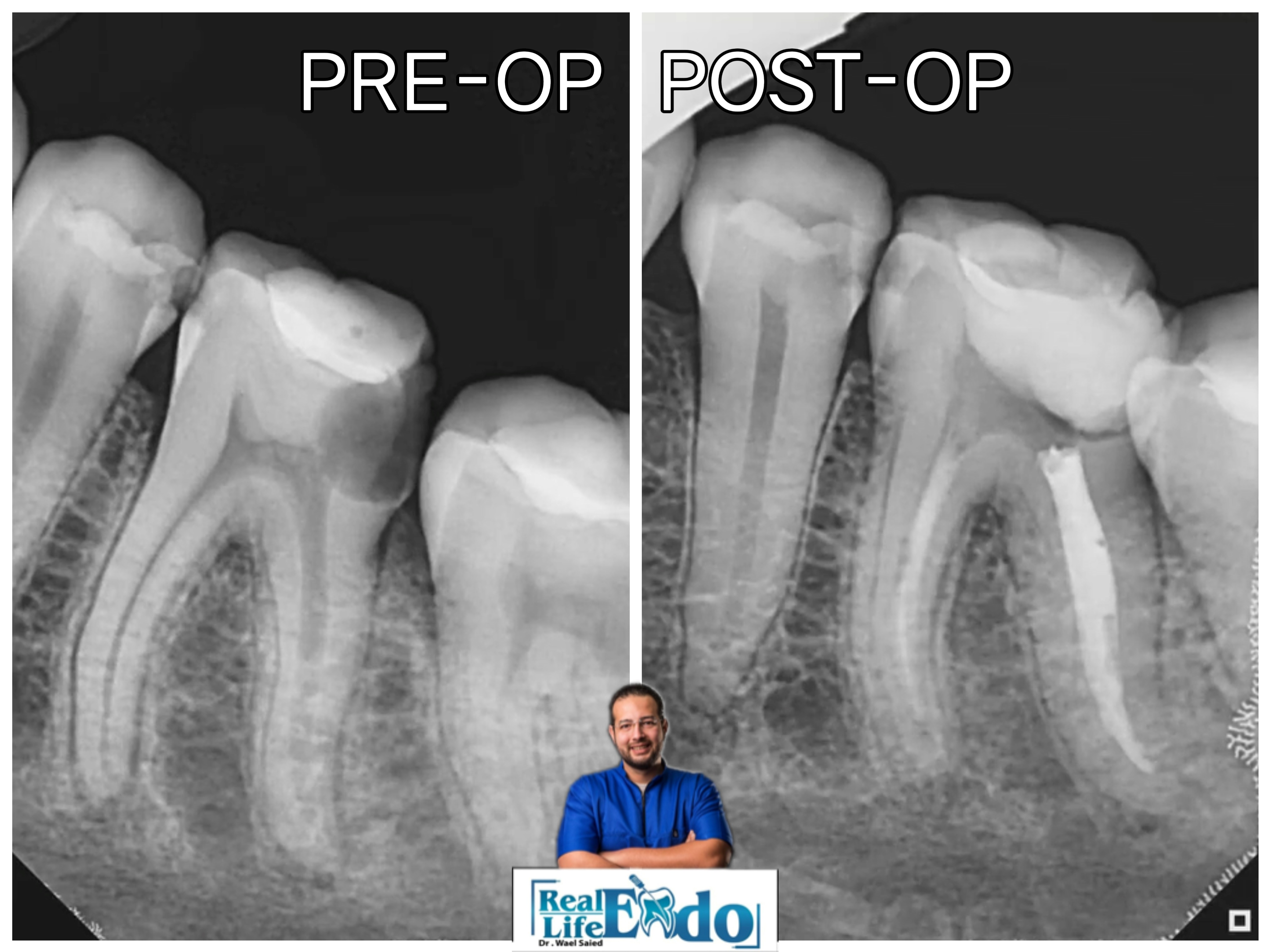 微信图片 微信图片