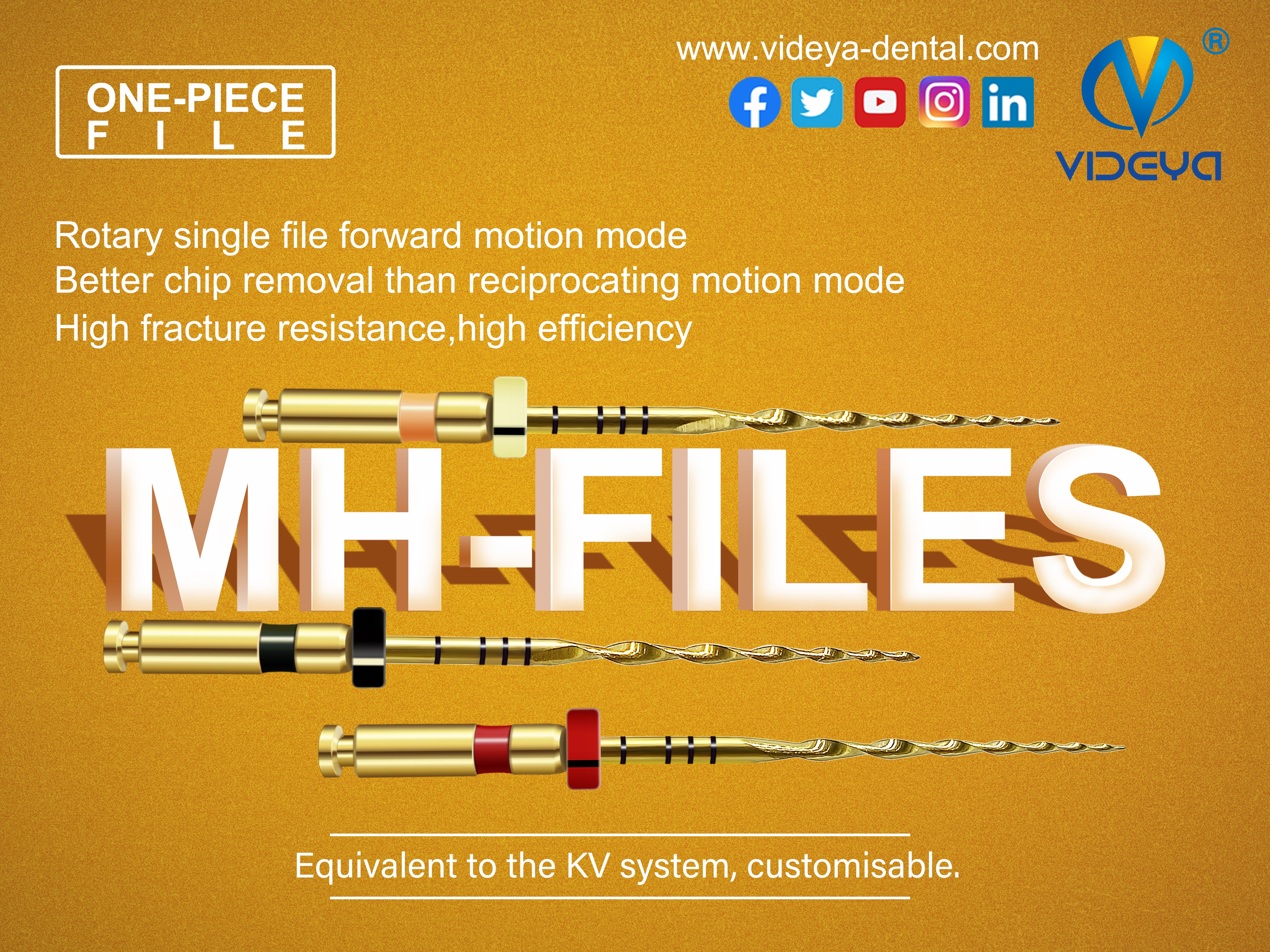 Videya Endo Files Practical Examples 