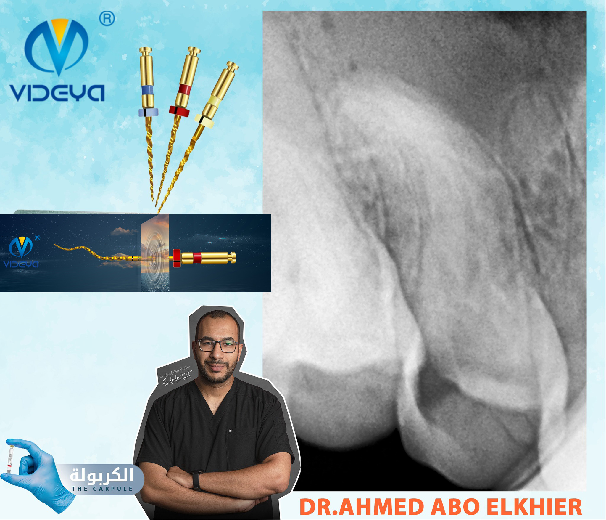 431065723_801471618677430_5930924248801161690_n 431065723_801471618677430_5930924248801161690_n