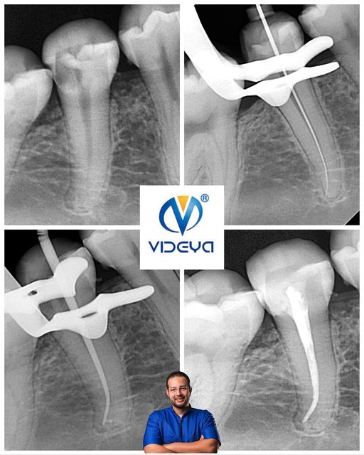 434331381_10168681586810080_2437580119706968317_n