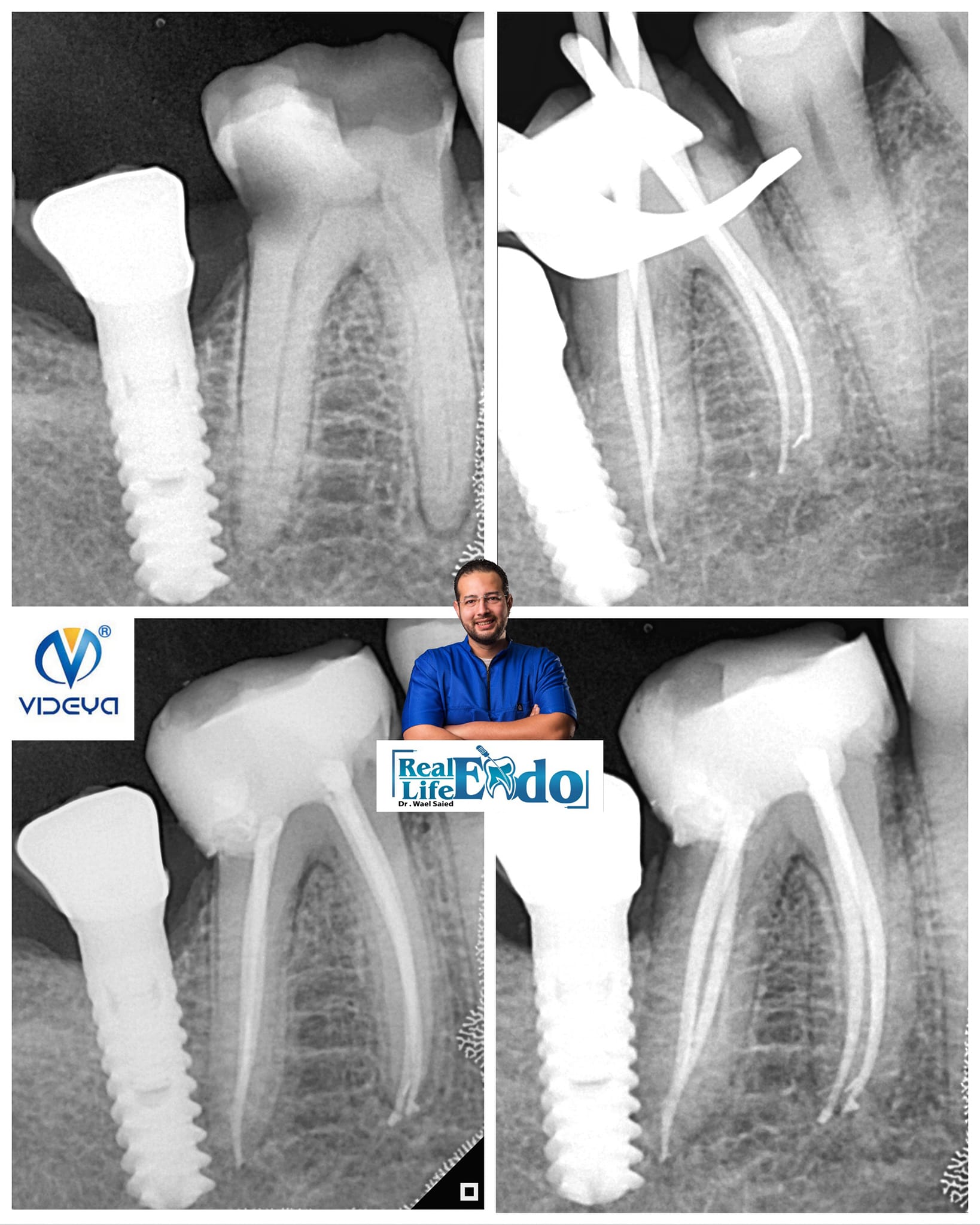 401628697_10168321818490080_9154649320825855042_n 401628697_10168321818490080_9154649320825855042_n