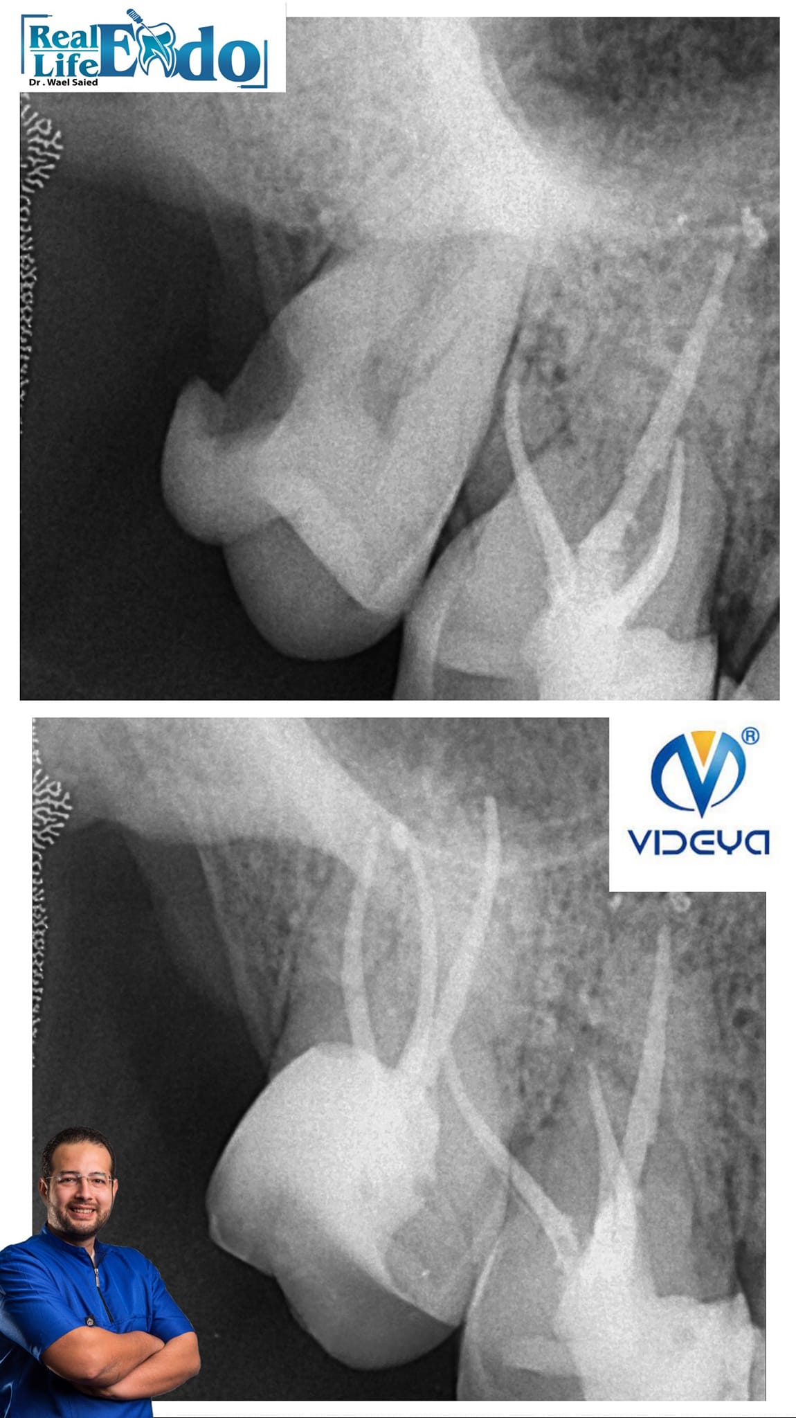 391762758_10168227679160080_2486448405811515404_n