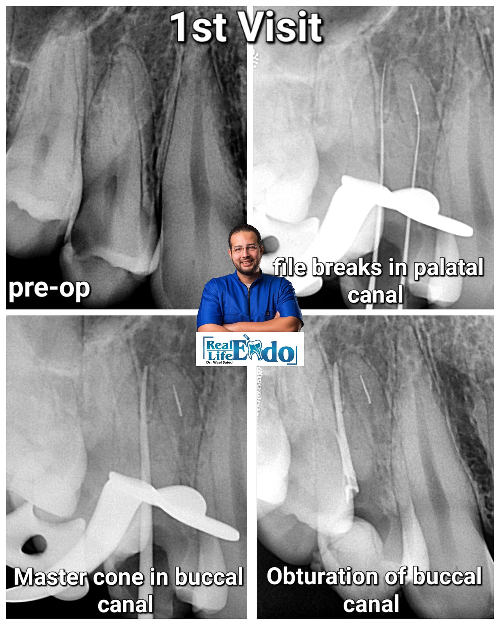 386420463_10168211847395080_5563114004739608139_n 386420463_10168211847395080_5563114004739608139_n