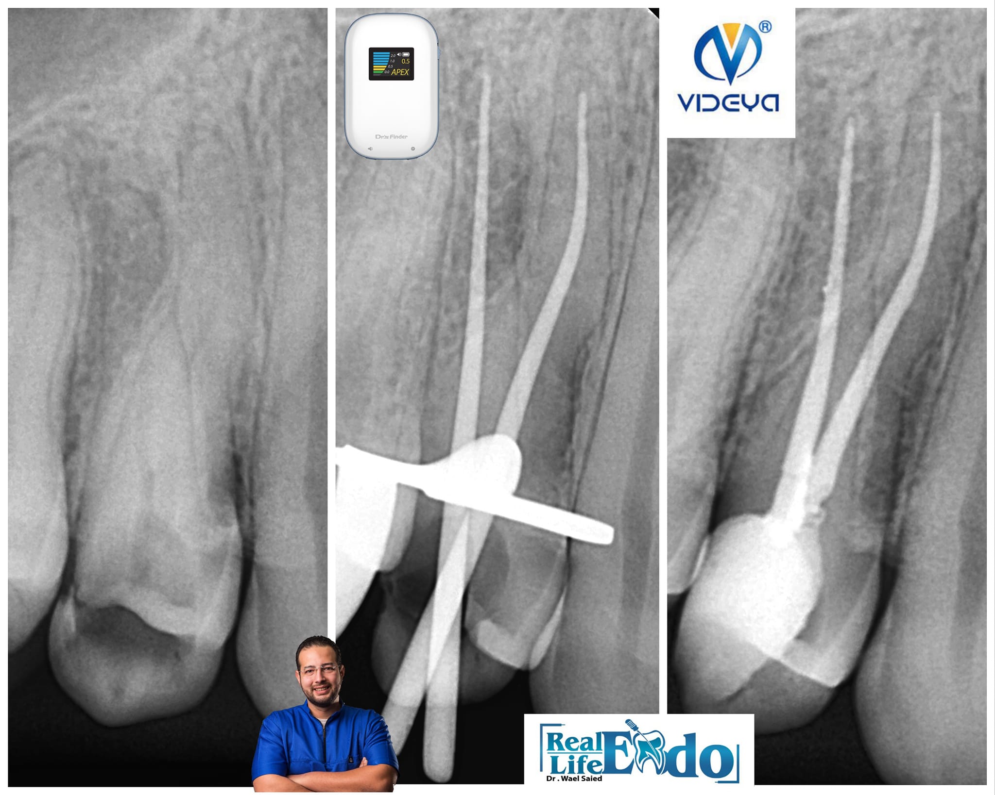 377277865_10168118498450080_4053626921472803783_n